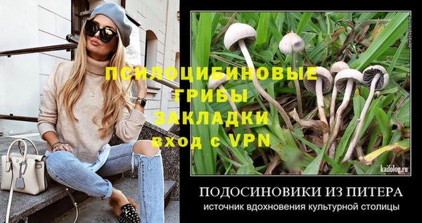 крисы Бронницы
