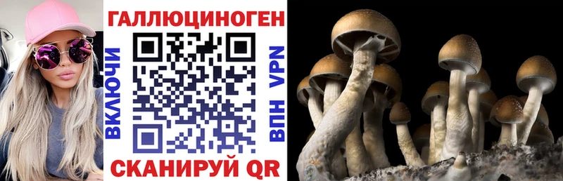 Псилоцибиновые грибы Psilocybine cubensis  магазин продажи   Дорогобуж 